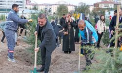 Sincan Belediye Başkanı Ercan, vatandaşlar ile birlikte fidan dikti