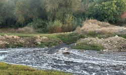 Uşak OSB’den bırakılan atıkların Gediz Nehri’nde kirlilik ve balık ölümlerine neden olduğu iddia edildi