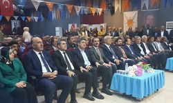 BİNGÖL - AK Parti Solhan 8. Olağan İlçe Kongresi yapıldı