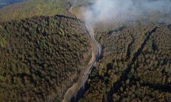 Kastamonu ormanlarında sonbaharın renkleri hakim