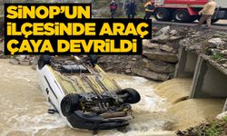 Hafif ticari araç çaya devrildi