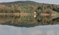 SAKARYA - Dron - Poyrazlar Gölü'nde sonbahar güzelliği