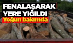 Sinop’ta ağaç taşıyan vatandaş fenalaştı