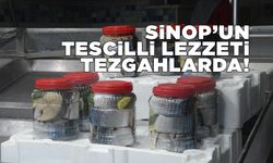 Sinop lakerdası tezgahlara indi