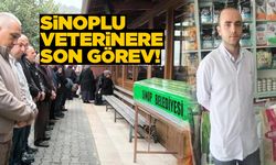 Sinoplu veteriner kalbine yenik düştü