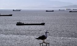 Yük gemileri Sinop'un doğal limanına sığındı