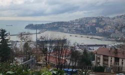 Zonguldak Limanı sarıya boyandı