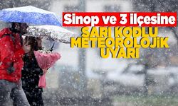 Sinop'a kuvvetli sağanak yağış ve kar uyarısı