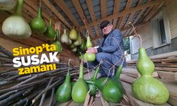 Topraktan sanata: Sinop’ta susak zamanı