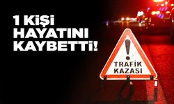 Sinop’ta ölümlü trafik kazası