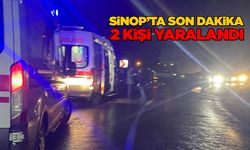 Sinop'ta otomobil kamyonun altına girdi