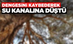 Komşu ilde ağaçtan düşen kişi hayatını kaybetti