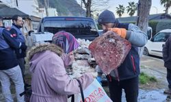 Sinop'ta kaçak avlanan 380 kalkan balığı bulundu