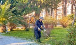 Sinop Belediyesi’nden yeşil alanlara düzenleme