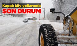 Sinop genelinde kapalı köy yolu sayısı açıklandı