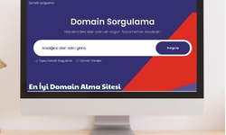 Domain Almadan Önce Bilmeniz Gereken Her Şey!