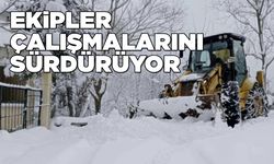 Sinop'ta 282 yol ulaşıma kapandı