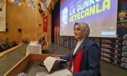 AK Parti Sinop Kadın Kolları Başkanı Özvin güven tazeledi