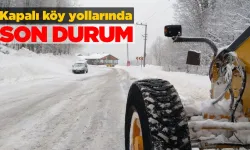 Sinop’ta birçok köy yolu kar nedeniyle kapandı