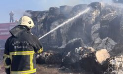 Pamuk yüklü tır alev alev yandı