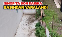 Bahçe temizliği sırasında düşerek başından yaralandı