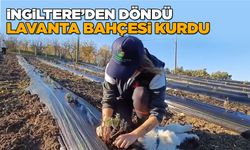 Sinoplu girişimci devlet desteğiyle lavanta bahçesi kurdu