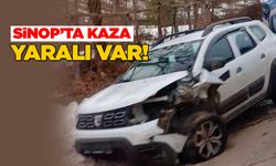 İki otomobilin çarpıştığı kazada bir kişi yaralandı