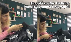 Sinop'ta kuaför koltuğuna oturan kediyi görenler şaşkına döndü