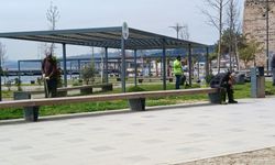 Sinop’ta yeşil alanlarda çim biçme çalışması yapıldı