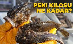 İskorpit sezonu Sinop’ta başladı