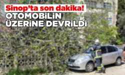 Park halindeki otomobilin üzerine ağaç devrildi