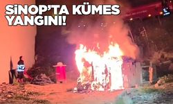 Kümes alevlere teslim oldu