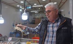 Karadeniz'de nadir görülen canlı Sinop'ta ağlara takıldı