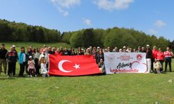 Amasya'da Aile Yılı Yürüyüşü düzenlendi