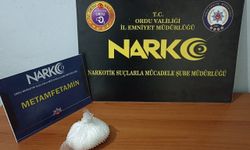 Ordu'daki narkotik operasyonunda 2 şüpheli tutuklandı