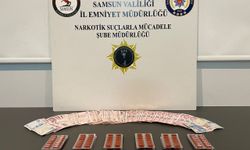 Samsun'da narkotik operasyonu: 1 gözaltı
