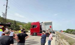 Küçük bir arı yüzlerce kişiyi mağdur etti