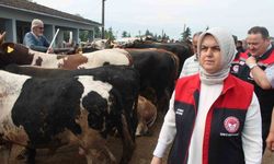 Kurban Bayramı öncesi sıkı denetim