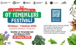 Samsun, Yöresel Ot Yemekleri Festivali’ne hazırlanıyor