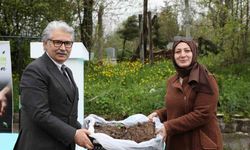 Samsun’da çiftçilere 150 bin çilek fidesi desteği