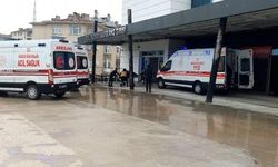 Sinop’ta mantardan zehirlenen kişi hastaneye kaldırıldı