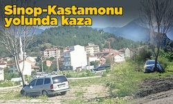 Otomobilin ağaca çarptığı kazada 2 kişi yaralandı