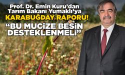 Mucize besin karabuğday için Sinop'tan devlet desteği çağrısı!