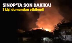 Sinop'ta ev yangını: 1 kişi dumandan etkilendi