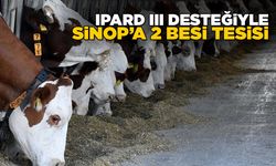 Sinop’a 2 yeni besi tesisi kurulacak!