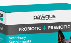 Köpek Probiyotik Neden Kullanmak Gerek?