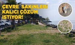Çocuk parkı çevresinde çöp ve gürültü sorunu