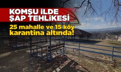 Kastamonu’daki bir ilçede şap karantinası