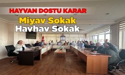 İlçedeki 2 yeni sokağa bu isimler verildi