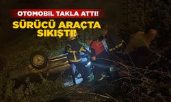 Otomobil araziye uçtu
